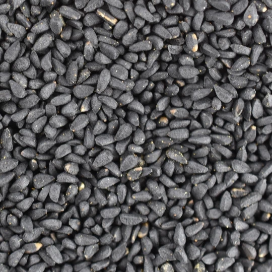 BIO Schwarzkümmel (Nigella Sativa) - Lose