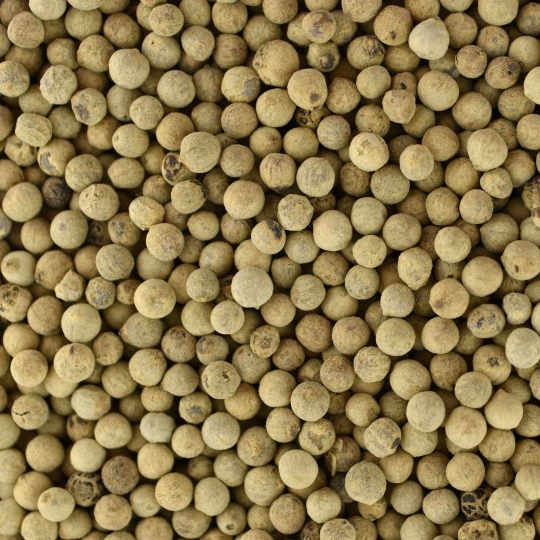 BIO Pfeffer Weiß Ganz- Lose