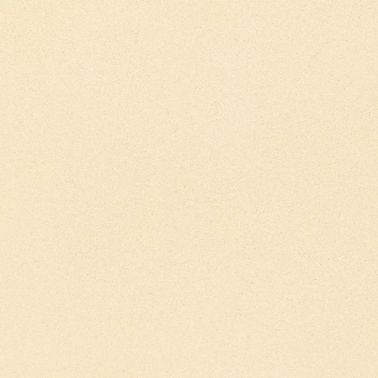 BIO Knoblauch Minced - Lose