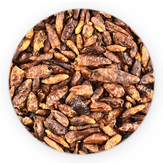 Chili Birdeyes 1-3 Cm - Premium Line-1