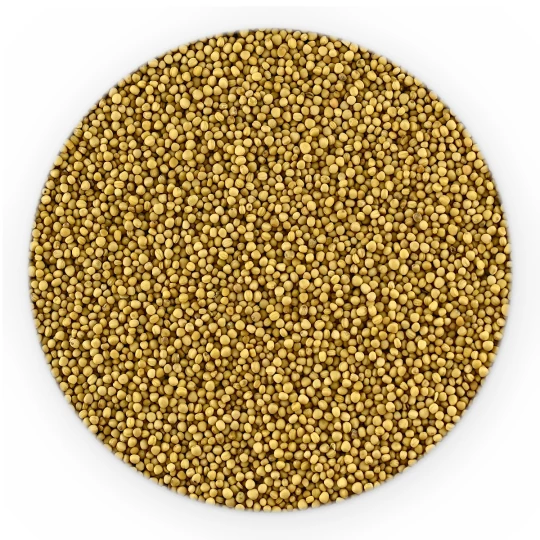 Senfsaat Gelb Ganz - Premium Line-1