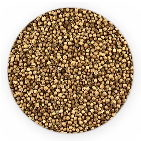 Coriander Ganz - HoReCa Basic Line-1