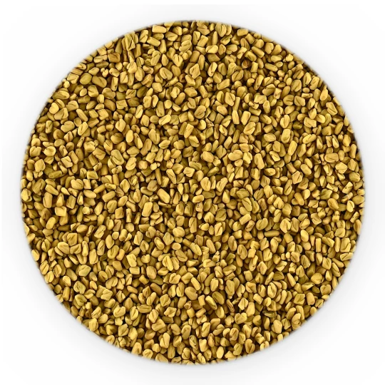 Bockshornkleesaat Ganz - Premium Line-1