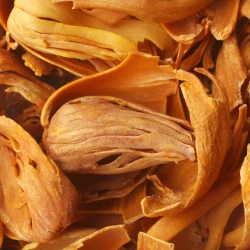 Ganze Muskelblume, Ausgewählt - Lose