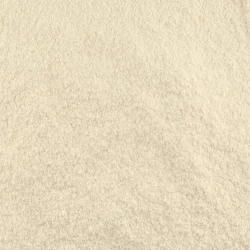 BIO Zwiebel Gemahlen - Lose