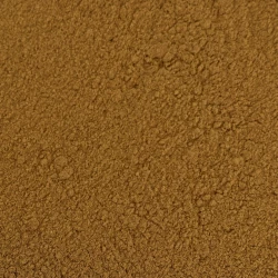 BIO Canehl (Zimt) Gemahlen - Lose