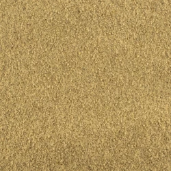 BIO Ingwer Gemahlen- Lose