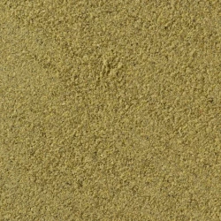 BIO Grüner Kardamon Gemahlen - Lose