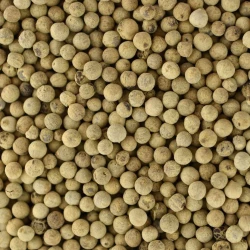 BIO Pfeffer Weiß Ganz- Lose