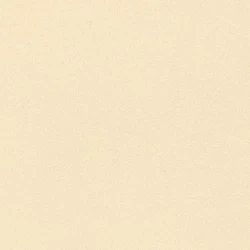 BIO Knoblauch Minced - Lose