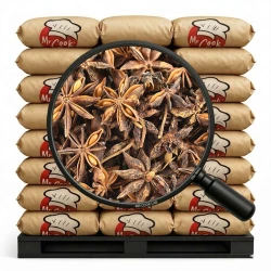 Sternenanis Ganz - Lose