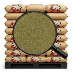 Brokkoli Gerebelt - Lose