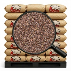 Senfsaat Schwarz Ganz - Lose