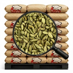 Cardamon Ganz Grün - Lose