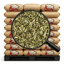 Minze (Spearmint) Gerebelt - Lose