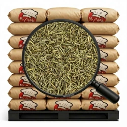 Rosmarin Geschnitten - Lose