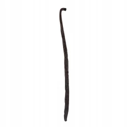 Vanilla Bourbon Schoten Madagaskar 14-16 cm - Premium Line 20szt Doypack