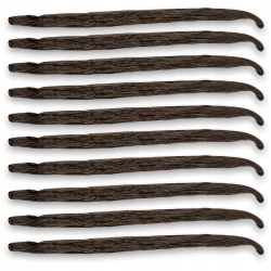 Vanilla Schoten Uganda Gourmet 12-14 cm - Premium Line 10szt Worek próżniowy
