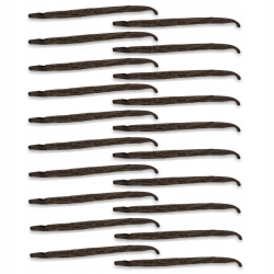 Vanilla Schoten Uganda Gourmet 12-14 cm - Premium Line 20szt Worek próżniowy