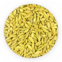 BIO Cardamon Ganz Grün-2