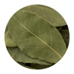 BIO Lorbeerblätter Ganz-2