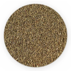 Kümmel Ganz - HoReCa Basic Line-1