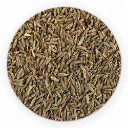 Cumin Ganz - Premium Line-1