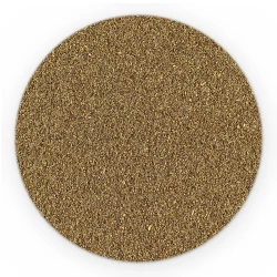 Coriander Gemahlen - HoReCa Basic Line-1
