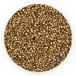 Coriander Ganz - HoReCa Basic Line-1