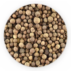 Piment Ganz - HoReCa Basic Line-1